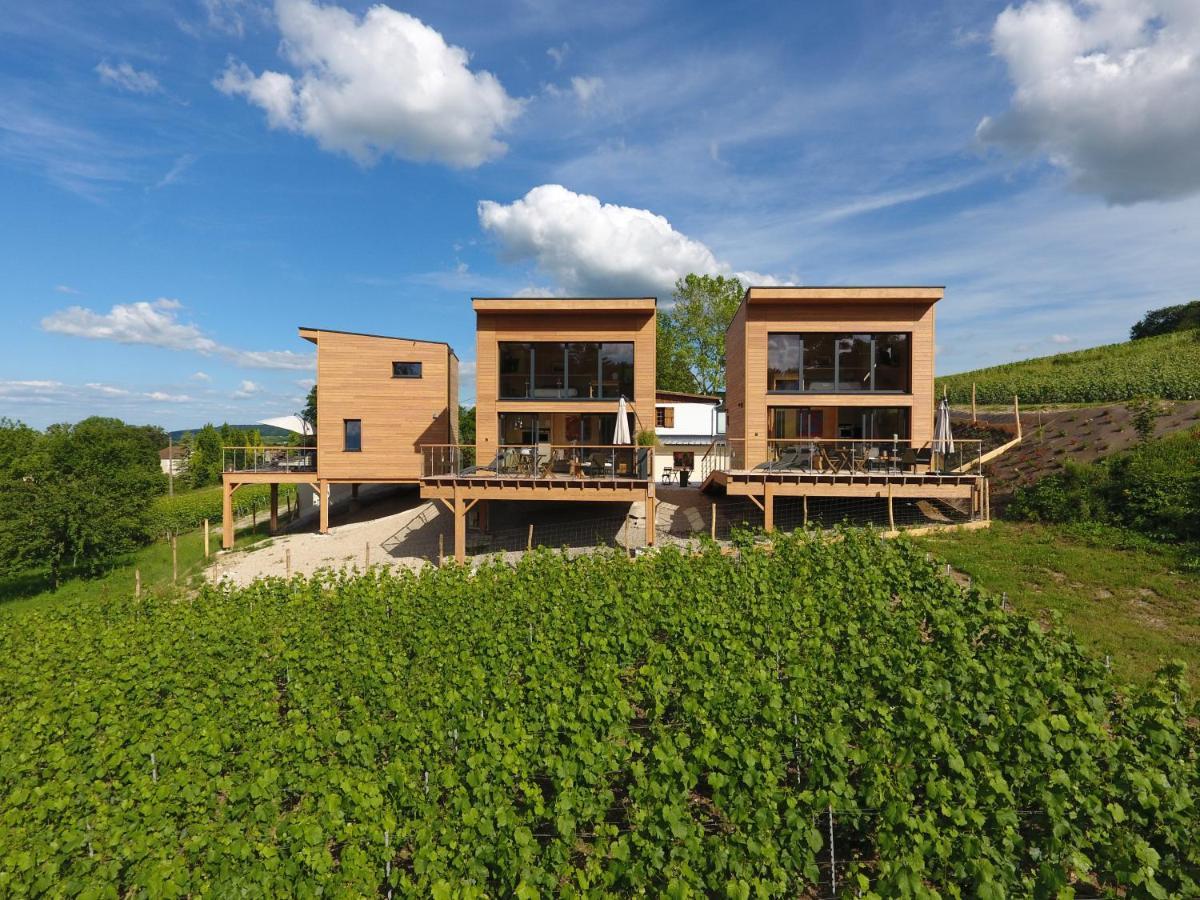 Cottages Antoinette Chigny-les-Roses Exteriör bild