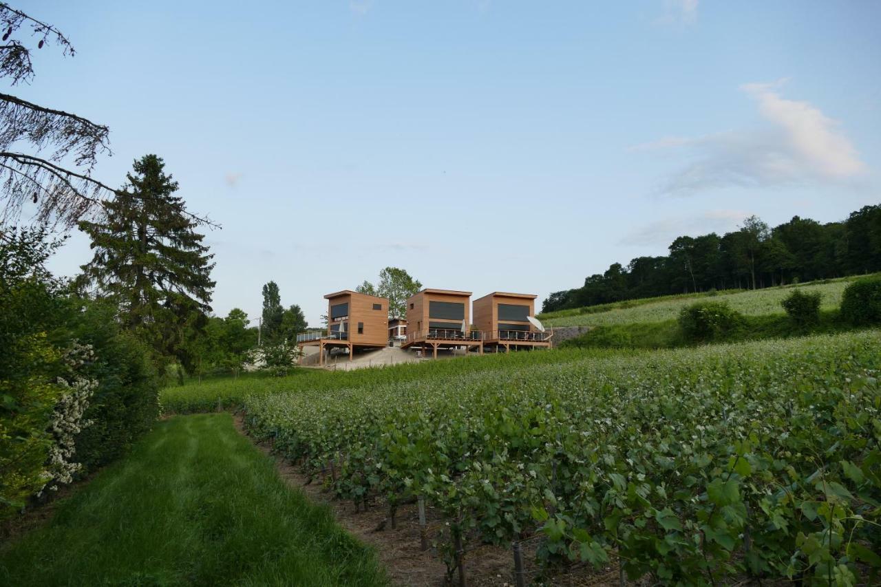 Cottages Antoinette Chigny-les-Roses Exteriör bild