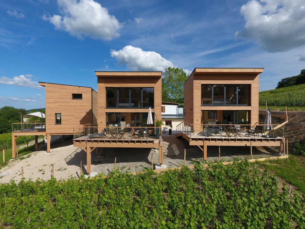 Cottages Antoinette Chigny-les-Roses Exteriör bild